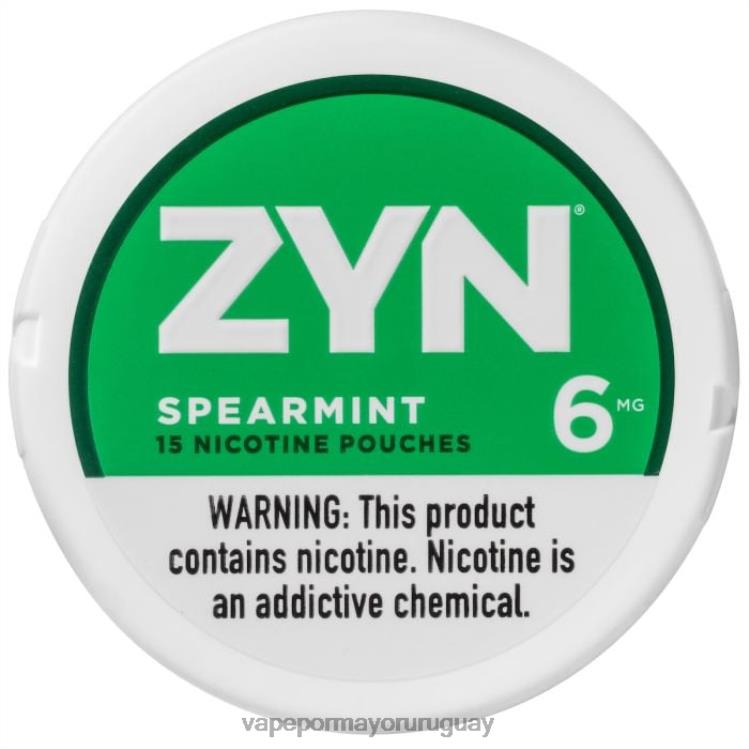 F6J4N15 - vaporizador desechable al por mayor ZYN menta verde bolsa de nicotina 6 mg