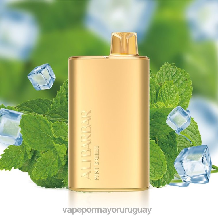 Vaporizador Al Por Mayor - Alibarbar Rich 8000 vaporizadores desechables brisa de menta HL0R48