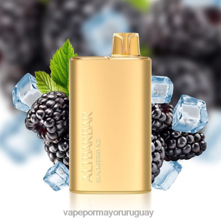 Venta De Vaporizadores Al Por Mayor - Alibarbar Rich 8000 vaporizadores desechables hielo de mora HL0R410