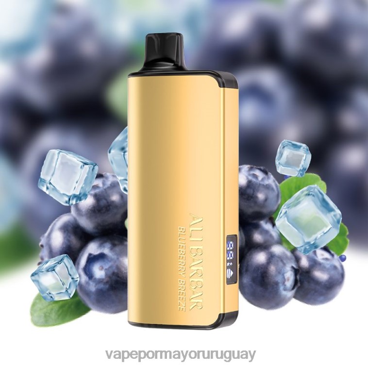 Vape Uruguay Precio - Alibarbar Ingot 20000 vaporizadores desechables brisa de arándanos HL0R432