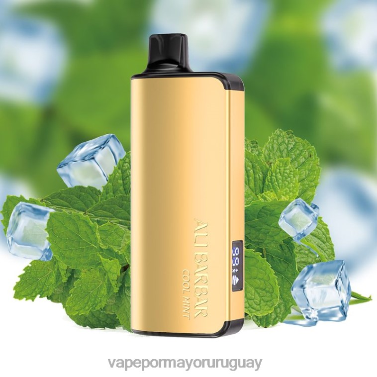 Vaper Sin Nicotina - Alibarbar Ingot 20000 vaporizadores desechables menta fresca HL0R435