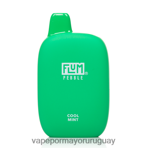 Liquido Vape Uruguay - FLUM PEBBLES 6000 bocanadas menta fresca TDT28P26