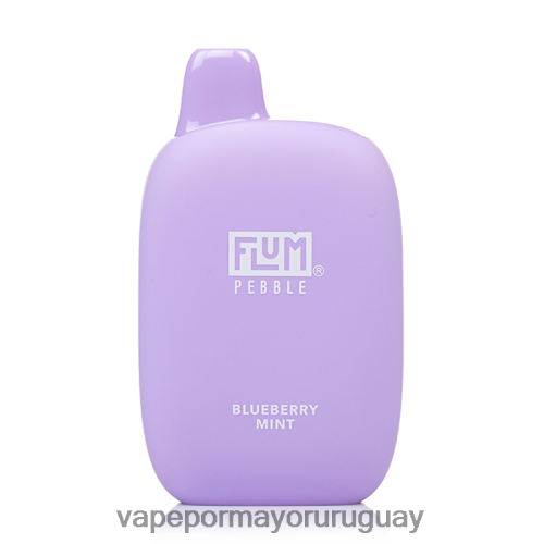Vape Uruguay Mercado Libre - FLUM PEBBLES 6000 bocanadas menta de arándanos TDT28P23