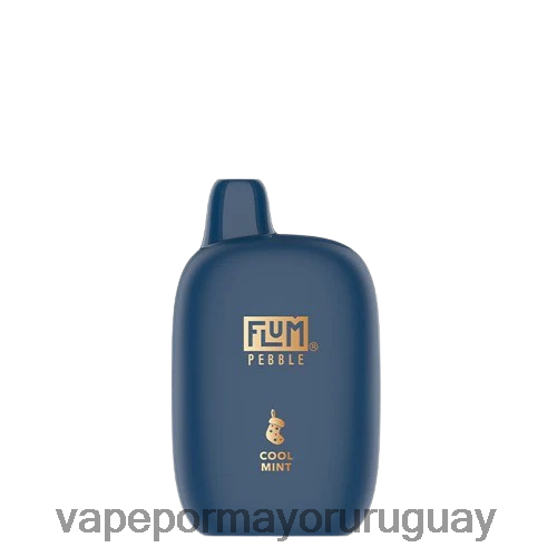 Vaper Sin Nicotina - FLUM PEBBLES 6000 caladas (edición navideña) menta fresca TDT28P5