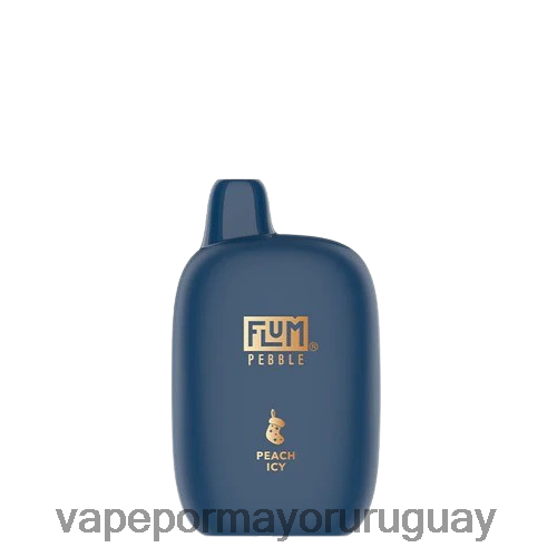 Vaporizador Al Por Mayor - FLUM PEBBLES 6000 caladas (edición navideña) durazno helado TDT28P8
