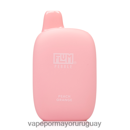 Vaporizador Desechable Al Por Mayor - FLUM PEBBLES 6000 bocanadas naranja durazno TDT28P39