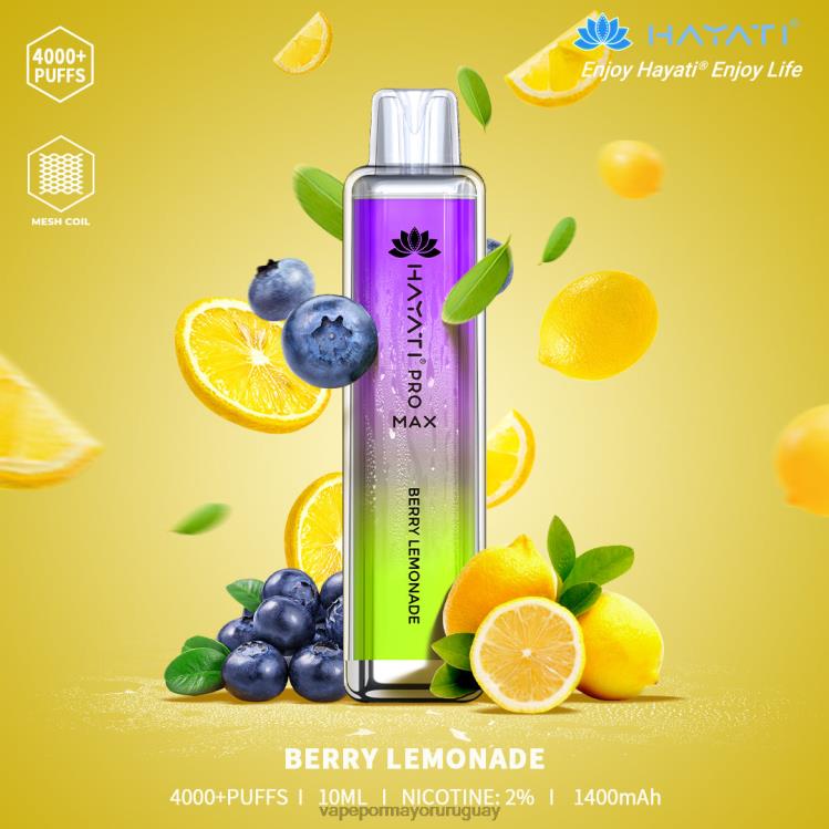 limonada de bayas