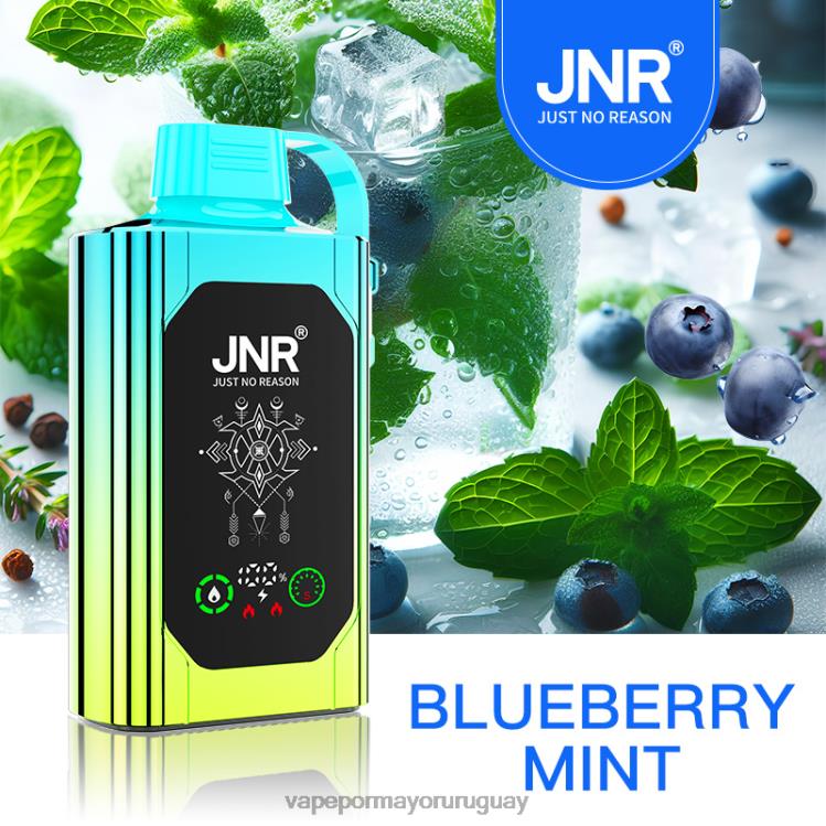 F6J4N618 - Vape por mayor Uruguay JNR SHISHA BOX menta de arándanos