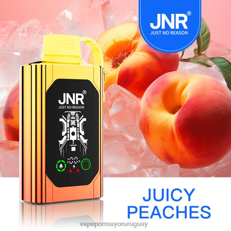F6J4N622 - Vaper sin nicotina JNR SHISHA BOX melocotones jugosos