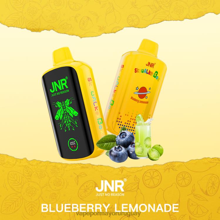 F6J4N584 - vaporizador al por mayor JNR SKYWALKER BOX Limonada de arándanos