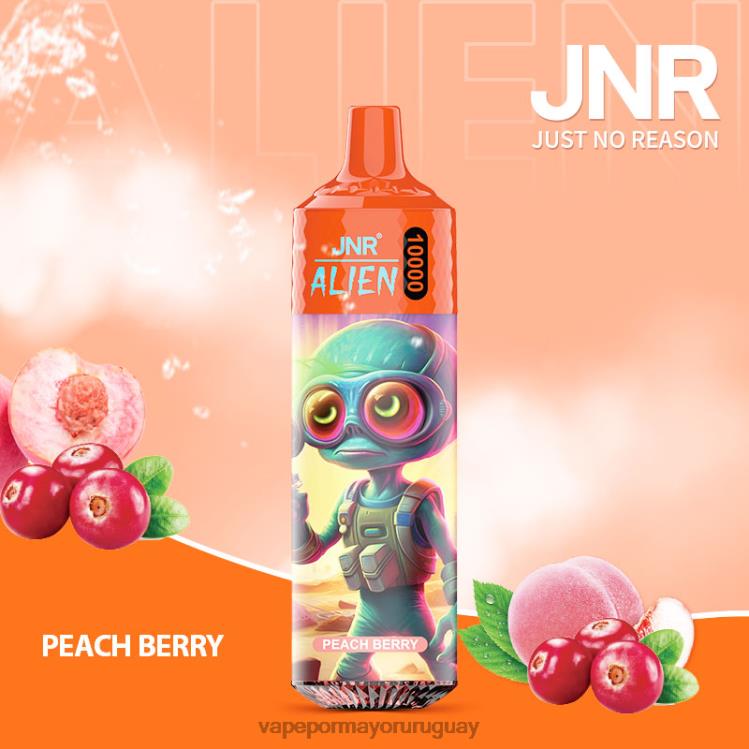 F6J4N655 - vaporizador desechable al por mayor JNR ALIEN baya de durazno