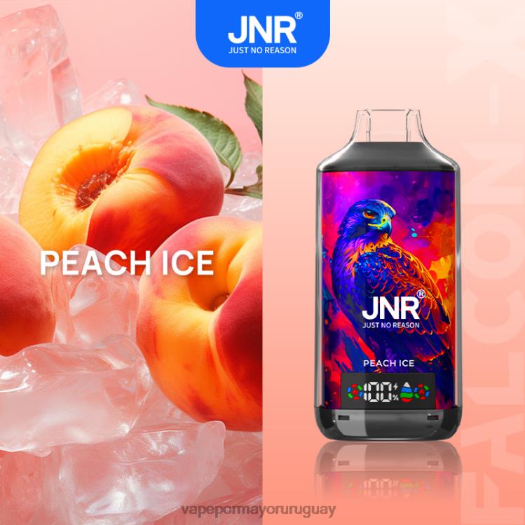 F6J4N555 - vaporizador desechable al por mayor JNR FALCON-X hielo de durazno