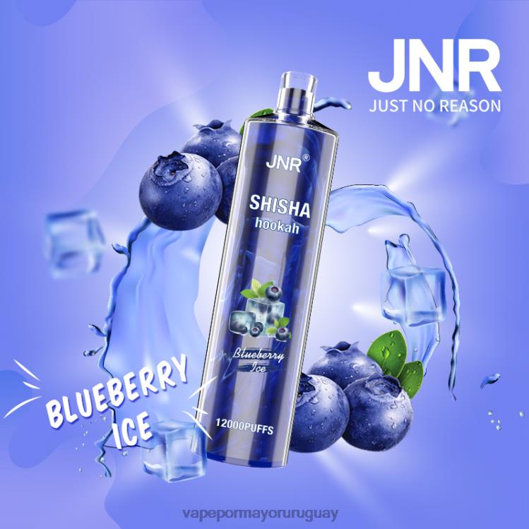 F6J4N671 - liquido Vape Uruguay JNR SHISHA hielo de arándanos
