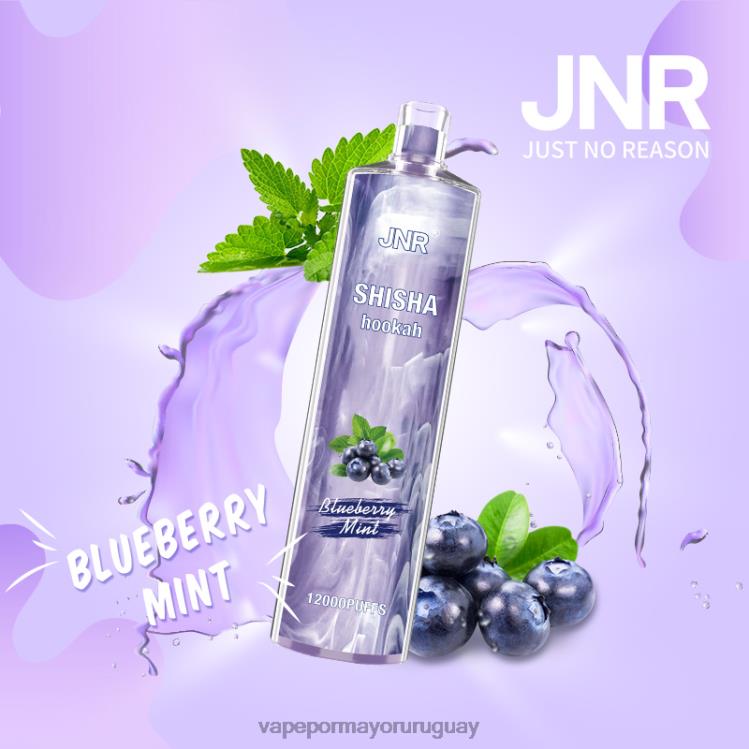 F6J4N672 - Vaper sin nicotina JNR SHISHA menta de arándanos