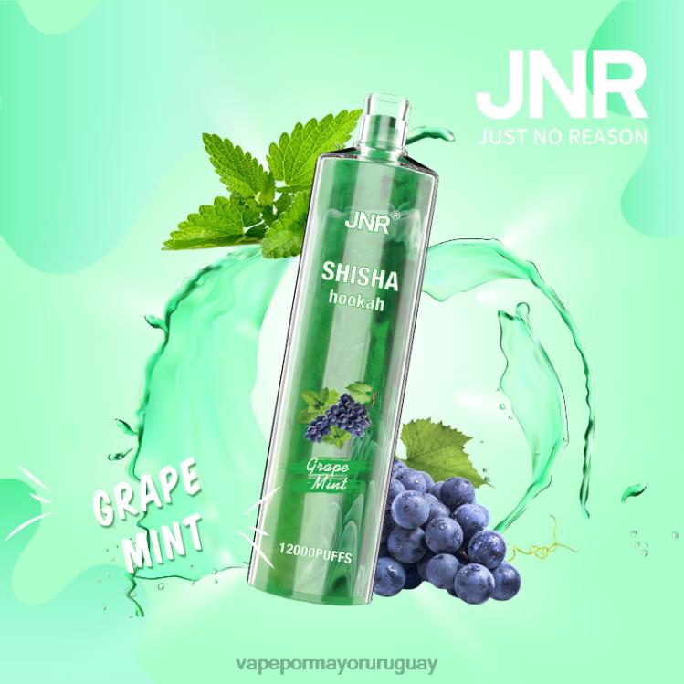F6J4N678 - Vape por mayor Uruguay JNR SHISHA menta de uva