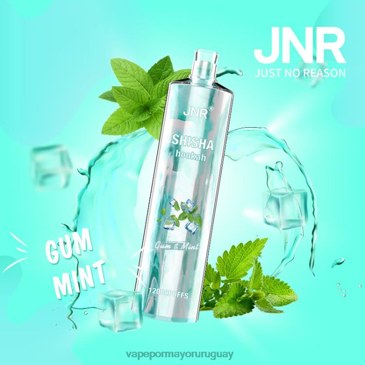 F6J4N679 - Vape Uruguay sin nicotina JNR SHISHA goma de menta
