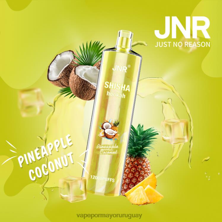 piña de coco