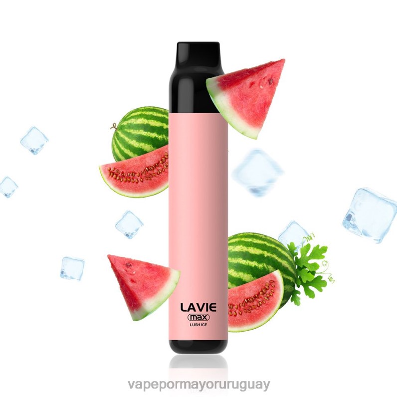 Vape Mayorista - LAVIE BAR 5000 inhalaciones - máx. 4BLXP277 hielo exuberante