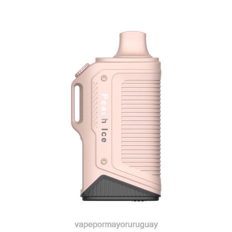 Vaporizador Desechable Al Por Mayor - LAVIE Energy Box 15000 bocanadas 4BLXP79 hielo de durazno