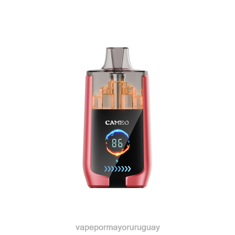 Vape Uruguay Sin Nicotina - LAVIE CAMEO 30000 bocanadas 4BLXP14 hielo de sandia