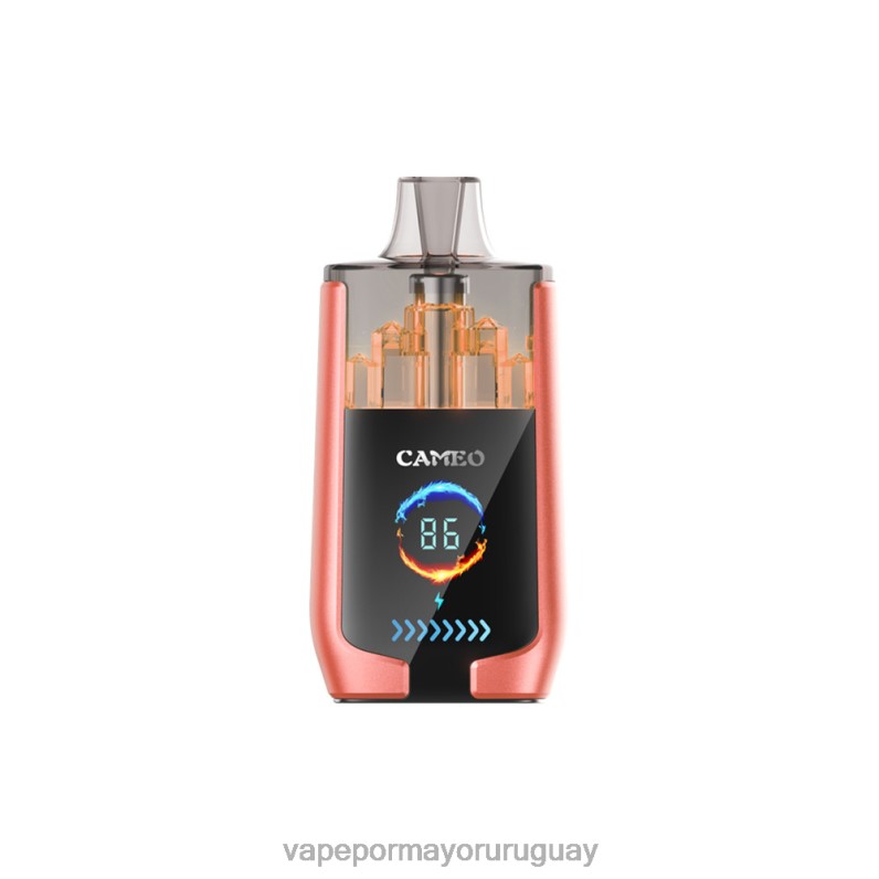 Vape Uruguay Sin Nicotina - LAVIE CAMEO 30000 bocanadas 4BLXP24 sandia fresa