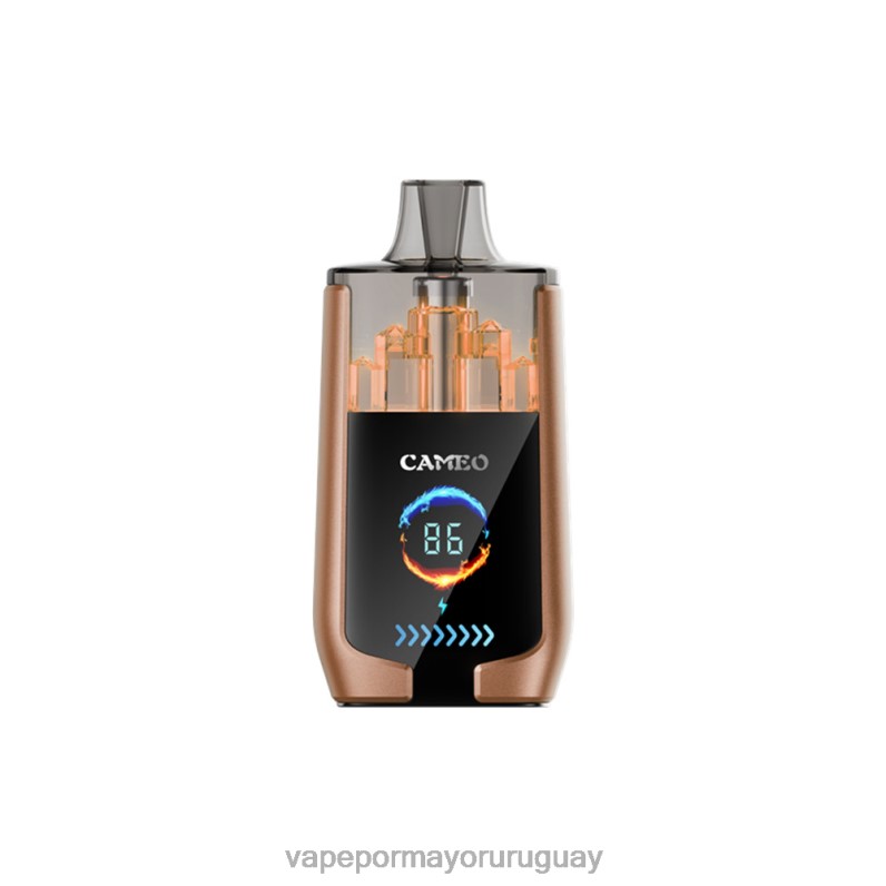 Vaporizador Al Por Mayor - LAVIE CAMEO 30000 bocanadas 4BLXP18 hielo de cafe