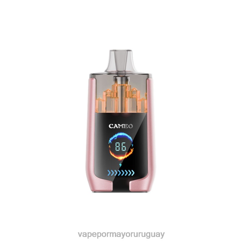 Vaporizador Desechable Al Por Mayor - LAVIE CAMEO 30000 bocanadas 4BLXP19 fruta tropical