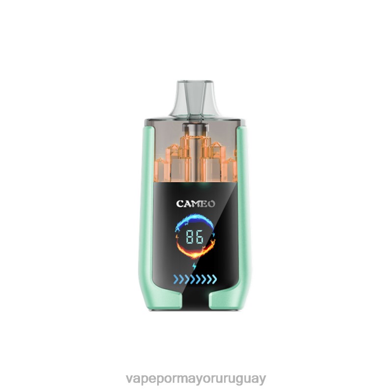 Venta De Vaporizadores Al Por Mayor - LAVIE CAMEO 30000 bocanadas 4BLXP20 manzana doble