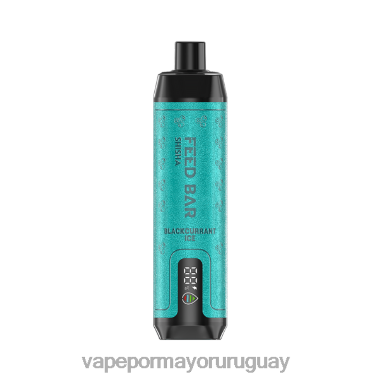 Liquido Vape Uruguay - Vapsolo SHISHA vaporizador desechable hielo de grosella negra HL0R496