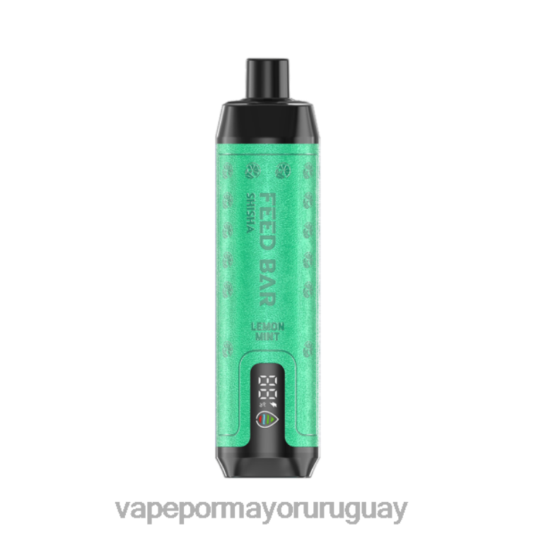 Vape Por Mayor Uruguay - Vapsolo SHISHA vaporizador desechable menta limon HL0R4101