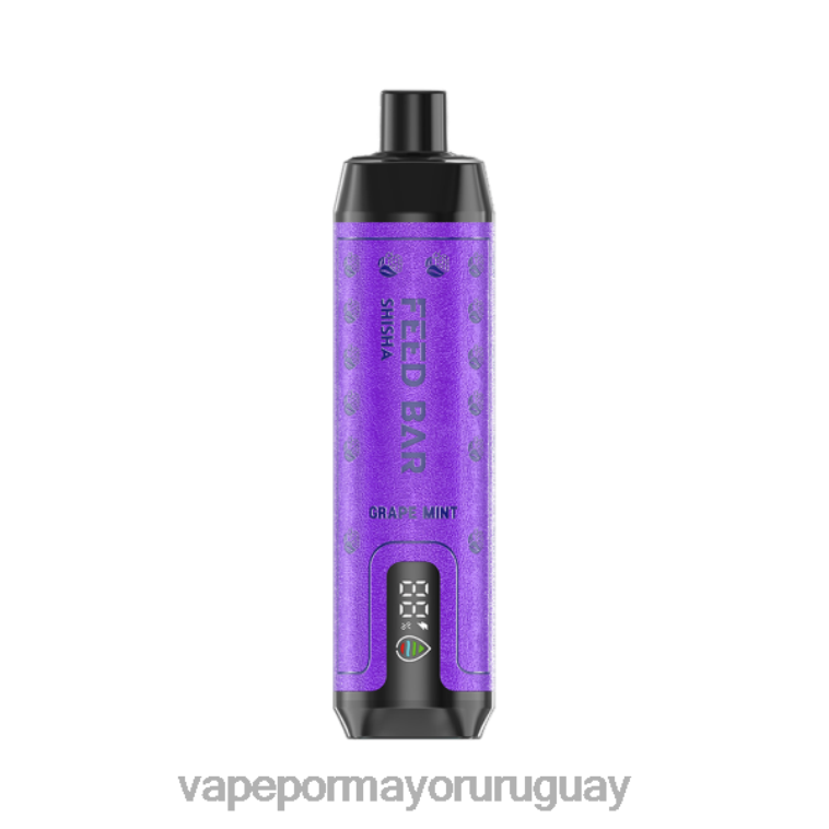 Venta De Vaporizadores Al Por Mayor - Vapsolo SHISHA vaporizador desechable menta de uva HL0R4100