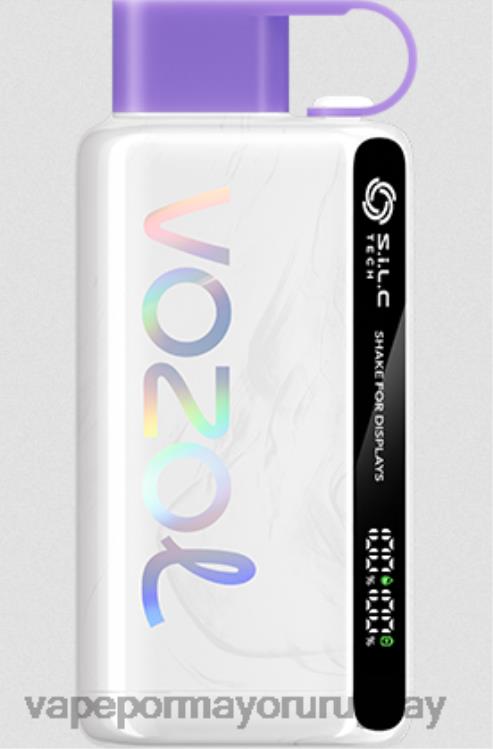 F6J4N13 - Vape mayorista VOZOL STAR hielo de uva 9000/12000 5%