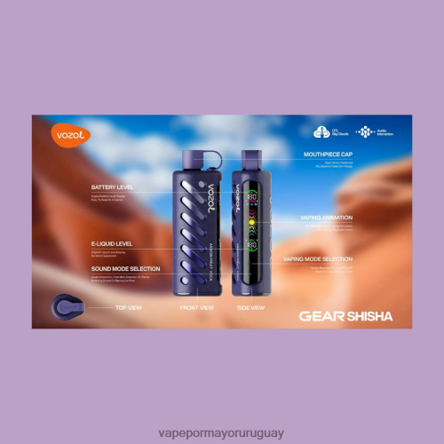 Vape Por Mayor Uruguay - VOZOL engranaje shisha 25000 multi TDT28P1