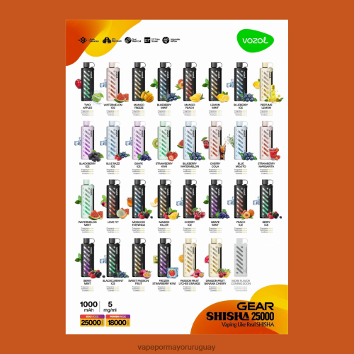 Vape Por Mayor Uruguay - VOZOL engranaje shisha 25000 multi TDT28P1