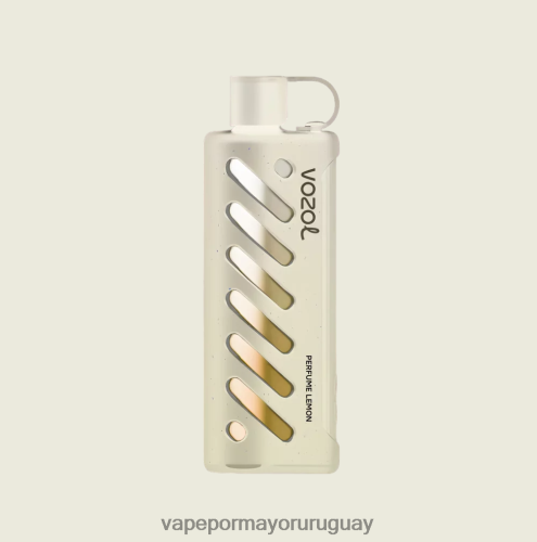 Vape Por Mayor Uruguay - VOZOL engranaje shisha 25000 multi TDT28P1