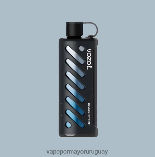 Vape Por Mayor Uruguay - VOZOL engranaje shisha 25000 multi TDT28P1