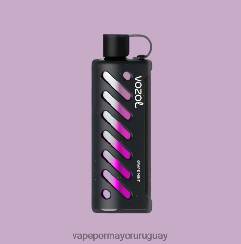 Vape Por Mayor Uruguay - VOZOL engranaje shisha 25000 multi TDT28P1