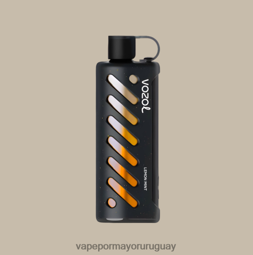 Vape Por Mayor Uruguay - VOZOL engranaje shisha 25000 multi TDT28P1